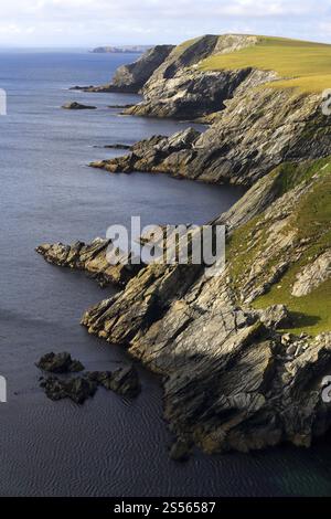 Côte falaise du sud du continent, îles Shetland, Écosse, Royaume-Uni, Europe Banque D'Images