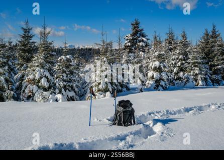 En hiver, en bordure de village alpin isolé, la neige dévie sur le bord de la forêt de sapins de montagne. Sac à dos touristique sur un sentier de randonnée fraîchement trodden. Banque D'Images