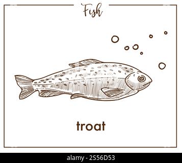 Icône de poisson à croquis de truite. Vecteur isolé saumon Seatrout ou esquisse de poisson d'espèce d'omble pour la pêche, le marché des produits de la pêche de fruits de mer ou magasin et conception de la faune zoologique. Icône de vecteur de poisson d'esquisse de truite de saumon Illustration de Vecteur