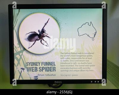 Sydney, Australie. 19 mai 2022. Une pancarte expliquant le Sydney Funnel Web Spider est accrochée au zoo Wild Life de Sydney. Les animaux sont considérés comme les araignées les plus venimeuses au monde. Crédit : Carola Frentzen/dpa/Alamy Live News Banque D'Images