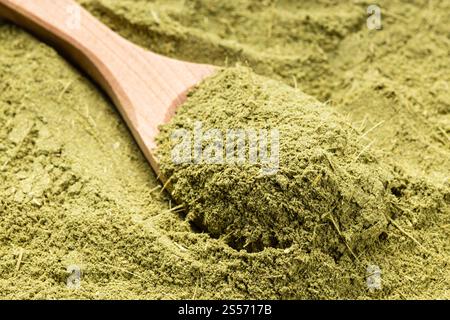 cuillère en bois avec herbe de stévia de rebaudiana blanchie (succédané de sucre naturel) gros plan sur la pile de sucre Banque D'Images