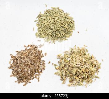 trois piles de graines d'anis, d'aneth et de fenouil sur une plaque en céramique grise Banque D'Images