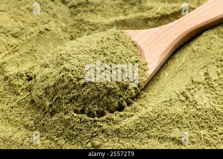 au-dessus de la vue de la cuillère en bois avec l'herbe de stevia de rebaudiana fraisé (succédanés naturels de sucre) gros plan sur la pile de sucre Banque D'Images
