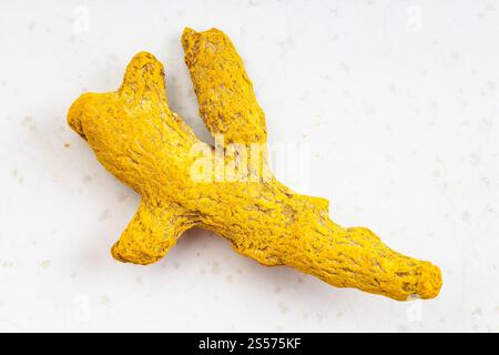 Vue de dessus d'une seule racine de curcuma (curcuma) en gros plan sur plaque en céramique grise Banque D'Images