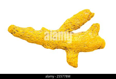 Vue de dessus d'une seule racine de curcuma (curcuma) isolée sur arrière-plan blanc Banque D'Images