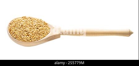 millet proso jaune non poli dans une cuillère en bois isolée sur blanc arrière-plan Banque D'Images