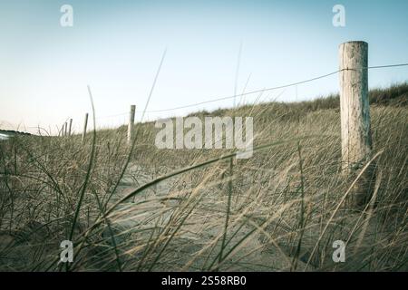 Dune de sable et clôture sur une plage au coucher du soleil. Re Island, France. Dune de sable et clôture sur une plage au coucher du soleil. Re Island Banque D'Images