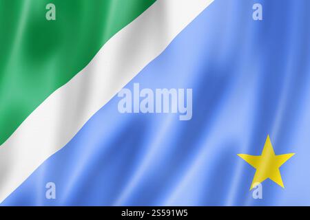Mato Grosso do Sul drapeau de l'État, Brésil agitant la collection de bannières. Illustration 3D. Drapeau de l'État de Mato Grosso do Sul, Brésil Banque D'Images