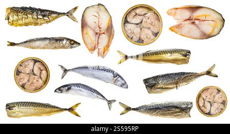 ensemble de divers poissons de maquereau cuits et crus isolés sur fond blanc Banque D'Images