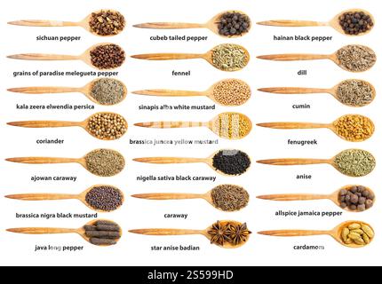 ensemble de dessus de la cuillère en bois avec diverses graines aromatisantes avec des noms isolés sur fond blanc Banque D'Images