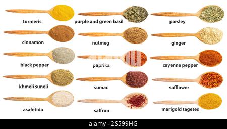 ensemble de dessus de la cuillère en bois avec diverses épices moulues avec des noms isolés sur fond blanc Banque D'Images