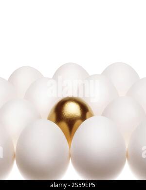 un oeuf doré pond parmi les oeufs blancs communs isolés sur fond blanc. un oeuf doré pond parmi les oeufs blancs communs Banque D'Images