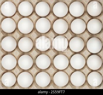 vingt-quatre œufs blancs dans la boîte. oeufs blancs dans la boîte Banque D'Images