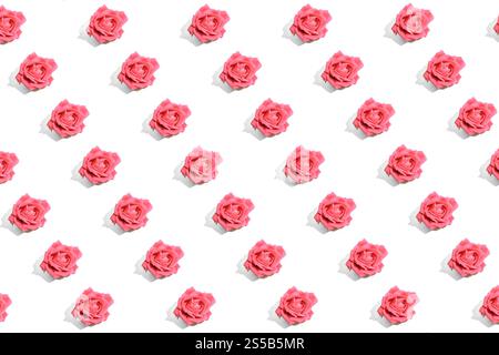 Modèle sans couture de roses roses roses vibrantes disposées en diagonale sur un fond blanc. Banque D'Images