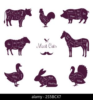 Affiche de coupes de viande avec des parties du corps d'animaux nommés. Bannière commerciale de boucherie. Silhouettes de bétail et de volaille avec des signes isolés illustrations vectorielles plates de dessin animé sur fond blanc.. Affiche de coupes de viande avec des parties du corps d'animaux nommés Illustration de Vecteur