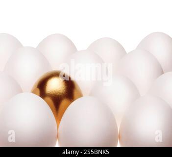 un oeuf doré pond parmi les oeufs blancs communs isolés sur un fond blanc. un oeuf doré pond parmi les oeufs blancs communs Banque D'Images