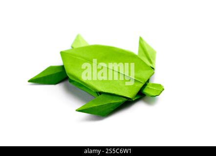 Origami tortue de papier vert isolé sur un fond blanc vierge. Origami tortue de papier vert isolé sur un fond blanc Banque D'Images