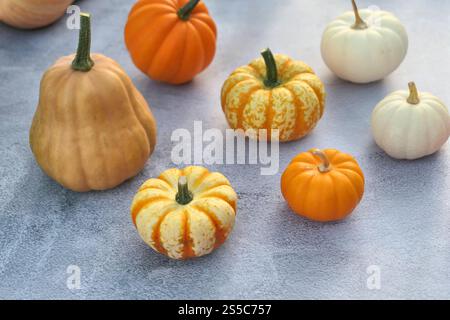 Collection de courges de citrouille et de courge Banque D'Images