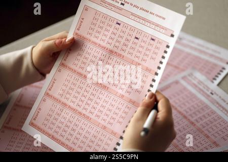 Les ressorts et les tubes sont disposés en rangée. Une rangée de semoir. Équipement lourd sur exposition agricole Banque D'Images