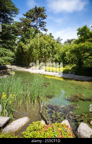 Étang dans un jardin japonais traditionnel. Fond Zen. Étang dans un jardin japonais Banque D'Images