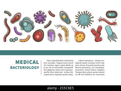 Affiche d'information sur les virus et les bactéries pour les infographies médicales ou la science bactériologique. Plan vectoriel pour la prévention des infections virales ou bactériennes et l'étude de la biologie. Affiche d'information sur les virus et les bactéries pour les infographies médicales ou la science bactériologique. Illustration de Vecteur