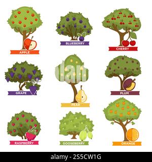 Arbres de verger avec des fruits mûrs avec des noms. Pomme rouge, myrtille douce, cerise mûre, grappes de raisin, poire juteuse, illustrations vectorielles de prune savoureuse, de framboise saine, de groseille aigre et d'orange tropicale.. Vergers et arbustes avec des fruits mûrs avec des noms Illustration de Vecteur