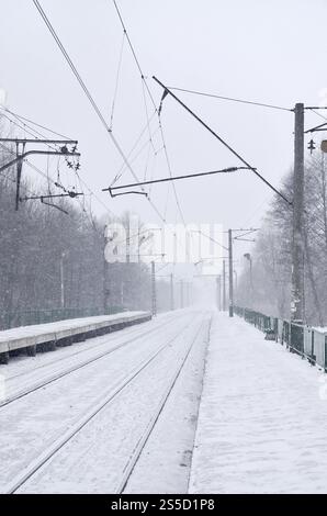 Photo de la gare en banlieue ou à la campagne. Le chemin de fer passe entre des rangées denses d'arbres. Plate-forme enneigée pendant les chutes de neige Banque D'Images