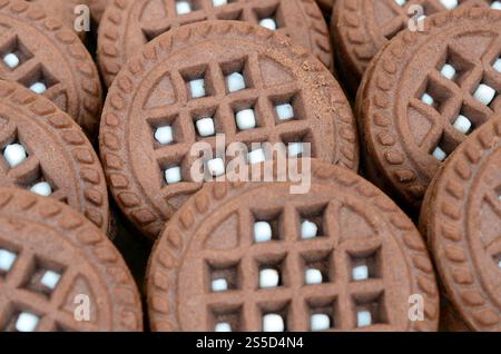 Image détaillée des biscuits ronds marron foncé avec remplissage de noix de coco. Image de fond de plusieurs gâteries pour le thé Banque D'Images