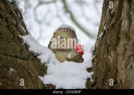 Une jolie figurine de hérisson avec une décoration de champignon rouge est nichée dans des branches d'arbre enneigées par une journée d'hiver croustillante Banque D'Images