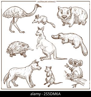 Croquis d'animaux et d'oiseaux australiens. Vecteur isolé émeu autruche, kangourou ou chien Dingo et ornithorynque ou souris, koala et échidna et diable de Tasmanie pour la conception de zoo ou de parc zoologique. Croquis vectoriel d'animaux et d'oiseaux australiens Illustration de Vecteur