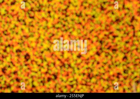 Photo floue d'une variété de vitrage de couleur en poudre sous forme de petites boules. Image flou artistique de perles colorées de très petite taille pour la décoration Banque D'Images