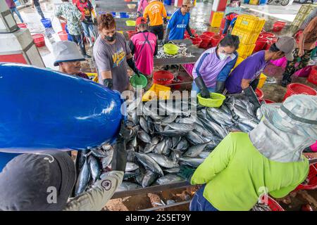 Le marché aux poissons et le port du village de pêcheurs de Pak Nam Pran près de la ville de Hua Hin dans la province de Prachuap Khiri Khan en Thaïlande, Banque D'Images