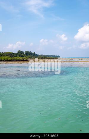 L'image du littoral de la mer bleue avec la forêt de mangrove sous le ciel lumineux est prise à neil Island aux îles Andaman et Nicobar. Banque D'Images
