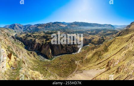 Colca Canyon à Arequipa. Situé dans la vallée de Colca, le Canyon est l'une des principales destinations touristiques non seulement à Arequipa, mais aussi au Pérou. Banque D'Images