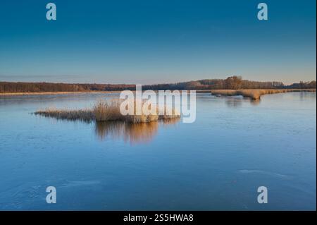 Lac gelé avec des roseaux Banque D'Images