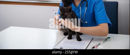 Chirurgien vétérinaire. Chat sur la table d'examen de la clinique vétérinaire. Soins vétérinaires. Vétérinaire médecin et chat. Banque D'Images