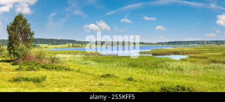 Vue estivale sur le lac avec petit bosquet sur la rive opposée. Banque D'Images