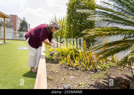 Plan large d'une femme adulte qui s'occupe de son jardin le matin Banque D'Images