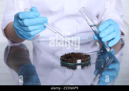 Tests en laboratoire. Scientifique avec un tube à essai coulant du liquide sur l'échantillon de sol à la table, gros plan Banque D'Images