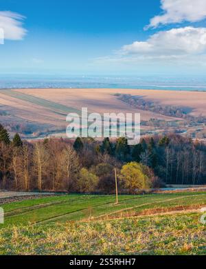 Paysage rural de campagne de printemps matin avec des champs agricoles labourés sur des collines, des arbres et des bosquets dans les vallées. Terres arables et terres agricoles en croissance. Banque D'Images