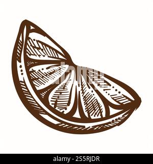 Oragne tranche de fruit Lush produit organique monochrome esquisse vectorielle icône isolée de l'ingrédient d'agrumes coupé aliment riche en vitamines et nutriments sains plante juteuse avec des segments et un goût aigre pelé. Oragne tranche de fruit Lush produit biologique monochrome esquisse Illustration de Vecteur