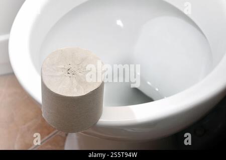 Un rouleau de papier toilettes gris se trouve sur une céramique blanche toilettes dans la salle de bains Banque D'Images