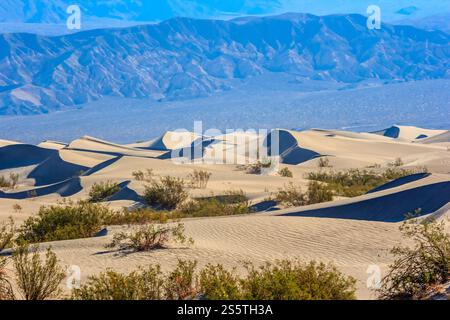 Un paysage désertique avec un ciel bleu en arrière-plan. Le ciel est clair et le soleil brille. Les dunes de sable sont dispersées dans tout l'Ar Banque D'Images