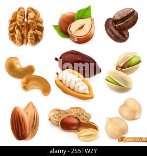 Noix et haricots. Noix, noisette, café, noix de cajou, cacao, pistache, amande, cacahuète, chickpe, vecteur set Banque D'Images