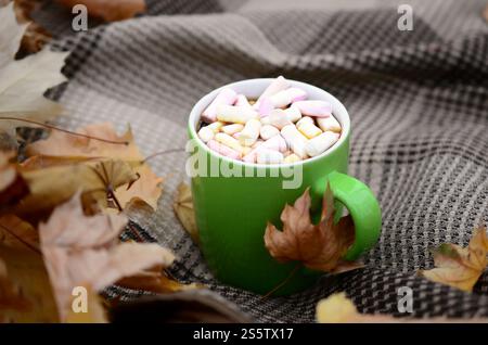 Les feuilles d'automne et la tasse de café chaud à la vapeur reposent sur le plaid à carreaux à l'extérieur. Composition d'ambiance atmosphérique de concept de temps d'automne. Feuilles d'automne et chaud Banque D'Images