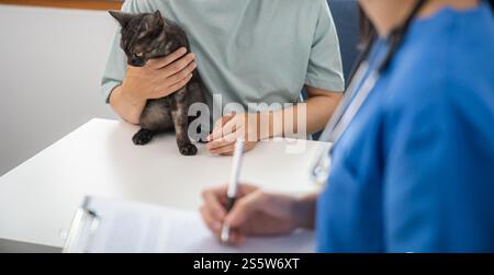 Vétérinaire professionnel aide le chat. chat propriétaire tenant l'animal sur les mains. Chat sur la table d'examen de la clinique vétérinaire. Soins vétérinaires. Médecin vétérinaire et Banque D'Images