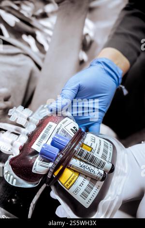 Jakarta, Indonésie - 30 mars 2022 : infirmière main dans un gant tenant un sac de sang donné emballé avec des tubes de prélèvement sanguin Banque D'Images