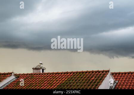 Mouettes blanches assis au sommet de toits rouges sur un après-midi pluvieux nuage à Gibraltar, Royaume-Uni, Banque D'Images