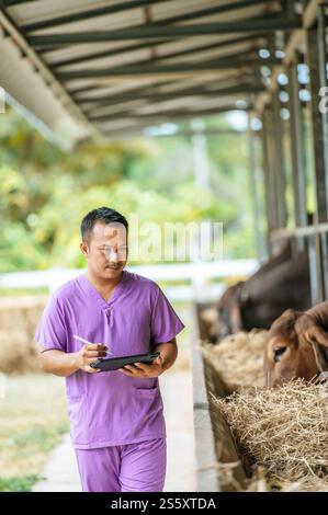 Jeune homme fermier asiatique avec ordinateur tablette pc et vaches dans l'étable de la ferme laitière. Industrie agricole, agriculture, personnes, technologie et mari animal Banque D'Images