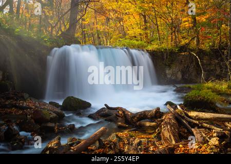 La beauté des chutes Choshi Otaki, qui font partie du ruisseau Oirase, non loin du lac Towada en automne, ville d'Aomori, région de Tohoku, Japon Banque D'Images